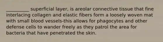 __________ superficial layer, is areolar connective tissue that fine interlacing collagen and elastic fibers form a loosely woven mat with small blood vessels-this allows for phagocytes and other defense cells to wander freely as they patrol the area for bacteria that have penetrated the skin.