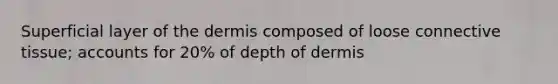 Superficial layer of the dermis composed of loose connective tissue; accounts for 20% of depth of dermis