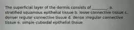 The superficial layer of the dermis consists of ________. a. stratified squamous epithelial tissue b. loose connective tissue c. denser regular connective tissue d. dense irregular connective tissue e. simple cuboidal epithelial tissue