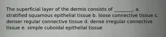 The superficial layer of the dermis consists of ________. a. stratified squamous epithelial tissue b. loose connective tissue c. denser regular connective tissue d. dense irregular connective tissue e. simple cuboidal epithelial tissue