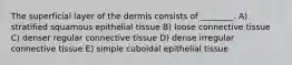 The superficial layer of the dermis consists of ________. A) stratified squamous epithelial tissue B) loose connective tissue C) denser regular connective tissue D) dense irregular connective tissue E) simple cuboidal epithelial tissue