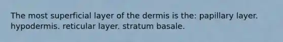 The most superficial layer of <a href='https://www.questionai.com/knowledge/kEsXbG6AwS-the-dermis' class='anchor-knowledge'>the dermis</a> is the: papillary layer. hypodermis. reticular layer. stratum basale.