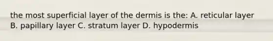 the most superficial layer of the dermis is the: A. reticular layer B. papillary layer C. stratum layer D. hypodermis