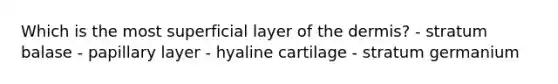 Which is the most superficial layer of <a href='https://www.questionai.com/knowledge/kEsXbG6AwS-the-dermis' class='anchor-knowledge'>the dermis</a>? - stratum balase - papillary layer - hyaline cartilage - stratum germanium