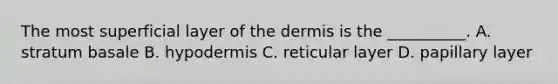 The most superficial layer of the dermis is the __________. A. stratum basale B. hypodermis C. reticular layer D. papillary layer