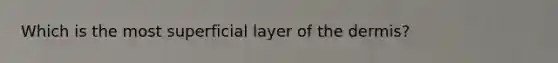 Which is the most superficial layer of the dermis?