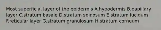 Most superficial layer of the epidermis A.hypodermis B.papillary layer C.stratum basale D.stratum spinosum E.stratum lucidum F.reticular layer G.stratum granulosum H.stratum corneum