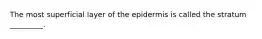 The most superficial layer of the epidermis is called the stratum _________.