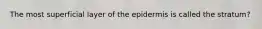 The most superficial layer of the epidermis is called the stratum?