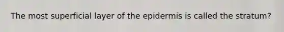 The most superficial layer of the epidermis is called the stratum?
