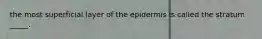 the most superficial layer of the epidermis is called the stratum _____.