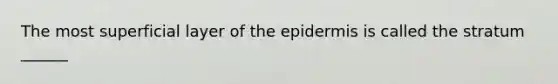 The most superficial layer of the epidermis is called the stratum ______