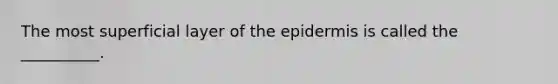 The most superficial layer of the epidermis is called the __________.