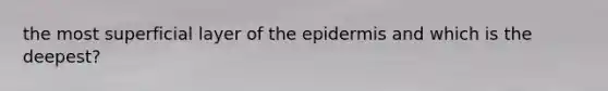 the most superficial layer of the epidermis and which is the deepest?