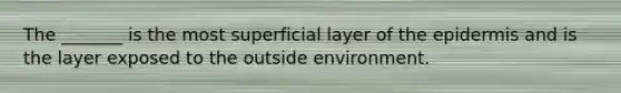 The _______ is the most superficial layer of <a href='https://www.questionai.com/knowledge/kBFgQMpq6s-the-epidermis' class='anchor-knowledge'>the epidermis</a> and is the layer exposed to the outside environment.