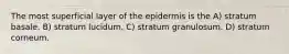 The most superficial layer of the epidermis is the A) stratum basale. B) stratum lucidum. C) stratum granulosum. D) stratum corneum.