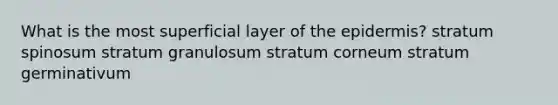 What is the most superficial layer of the epidermis? stratum spinosum stratum granulosum stratum corneum stratum germinativum