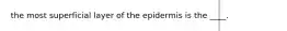 the most superficial layer of the epidermis is the ____.