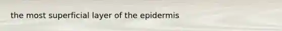 the most superficial layer of <a href='https://www.questionai.com/knowledge/kBFgQMpq6s-the-epidermis' class='anchor-knowledge'>the epidermis</a>