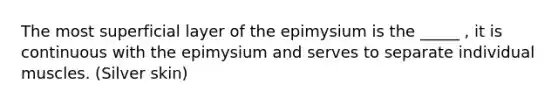 The most superficial layer of the epimysium is the _____ , it is continuous with the epimysium and serves to separate individual muscles. (Silver skin)