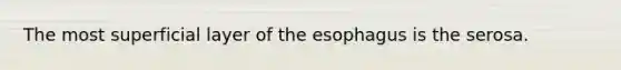 The most superficial layer of the esophagus is the serosa.