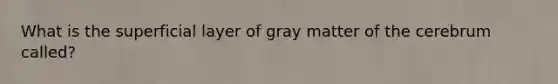 What is the superficial layer of gray matter of the cerebrum called?