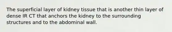 The superficial layer of kidney tissue that is another thin layer of dense IR CT that anchors the kidney to the surrounding structures and to the abdominal wall.