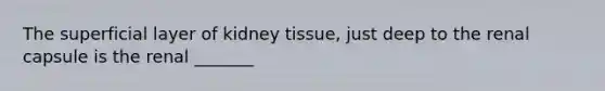 The superficial layer of kidney tissue, just deep to the renal capsule is the renal _______