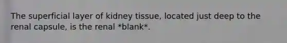 The superficial layer of kidney tissue, located just deep to the renal capsule, is the renal *blank*.