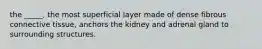 the _____, the most superficial layer made of dense fibrous connective tissue, anchors the kidney and adrenal gland to surrounding structures.