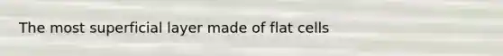 The most superficial layer made of flat cells