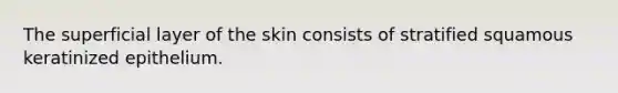 The superficial layer of the skin consists of stratified squamous keratinized epithelium.