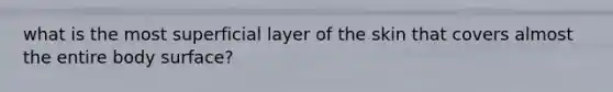 what is the most superficial layer of the skin that covers almost the entire body surface?