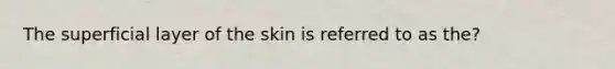 The superficial layer of the skin is referred to as the?