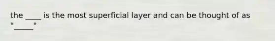 the ____ is the most superficial layer and can be thought of as "_____"