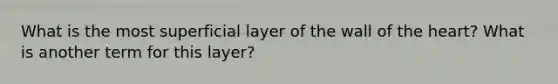 What is the most superficial layer of the wall of the heart? What is another term for this layer?