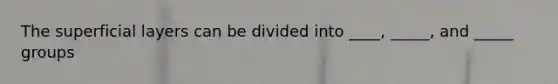 The superficial layers can be divided into ____, _____, and _____ groups