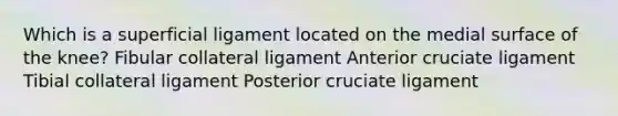 Which is a superficial ligament located on the medial surface of the knee? Fibular collateral ligament Anterior cruciate ligament Tibial collateral ligament Posterior cruciate ligament