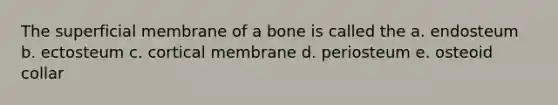 The superficial membrane of a bone is called the a. endosteum b. ectosteum c. cortical membrane d. periosteum e. osteoid collar