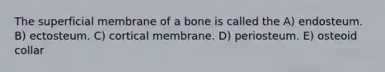 The superficial membrane of a bone is called the A) endosteum. B) ectosteum. C) cortical membrane. D) periosteum. E) osteoid collar