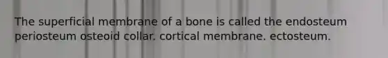 The superficial membrane of a bone is called the endosteum periosteum osteoid collar. cortical membrane. ectosteum.