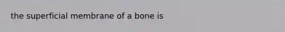 the superficial membrane of a bone is