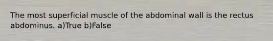 The most superficial muscle of the abdominal wall is the rectus abdominus. a)True b)False