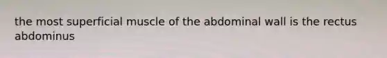 the most superficial muscle of the abdominal wall is the rectus abdominus