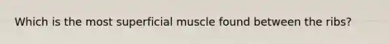 Which is the most superficial muscle found between the ribs?