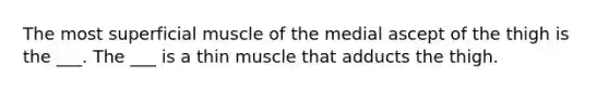 The most superficial muscle of the medial ascept of the thigh is the ___. The ___ is a thin muscle that adducts the thigh.