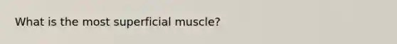 What is the most superficial muscle?