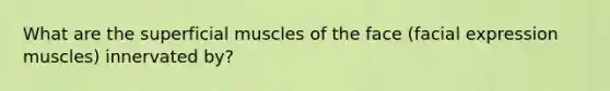 What are the superficial muscles of the face (facial expression muscles) innervated by?