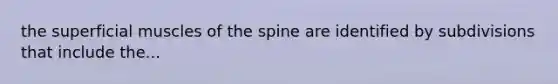 the superficial muscles of the spine are identified by subdivisions that include the...