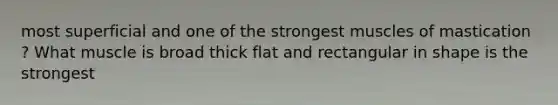 most superficial and one of the strongest muscles of mastication ? What muscle is broad thick flat and rectangular in shape is the strongest